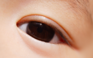 スクリーンショット 2015-01-26 13.19.58