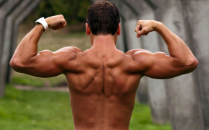 スクリーンショット 2015-02-03 13.58.48