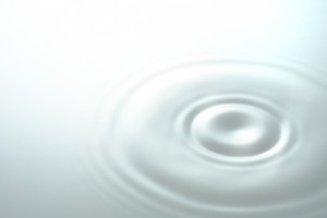 7001226950cfe2fee9896e0efc450a4c_s