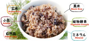 酵素玄米０２a