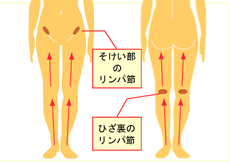 戸田恵梨香さん02