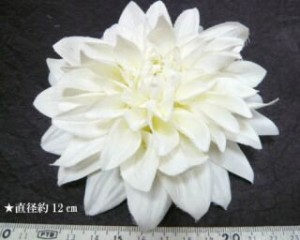 PcArhZ_p7O-lBsLbZPEQlH35Hc9sTBpNWVe2HAaCArc