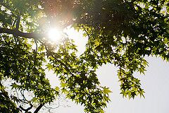 -UU6zMXb0Jw9U670tUpBrKBxE7U3FALVhOkPKBdlI8U