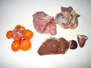 t701-3IN_CKeHwT-GKpF2MbyWrIONM1-HVTBfNYye3Y